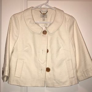 Ann Taylor Loft Petite Size 8P